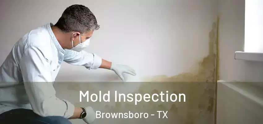  Mold Inspection Brownsboro - TX