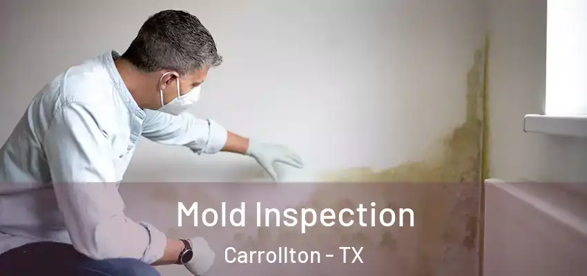  Mold Inspection Carrollton - TX