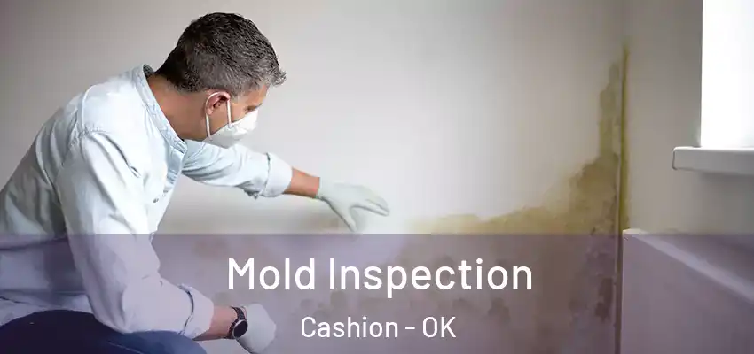 Mold Inspection Cashion - OK