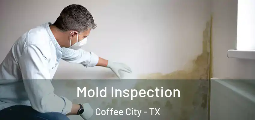  Mold Inspection Coffee City - TX
