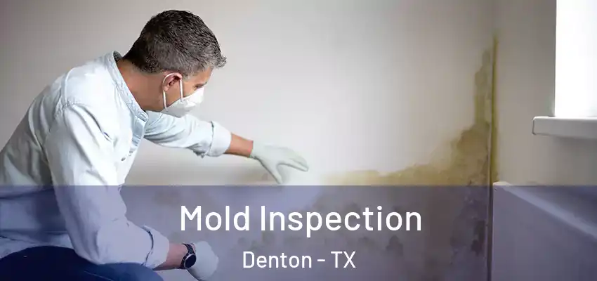 Mold Inspection Denton - TX