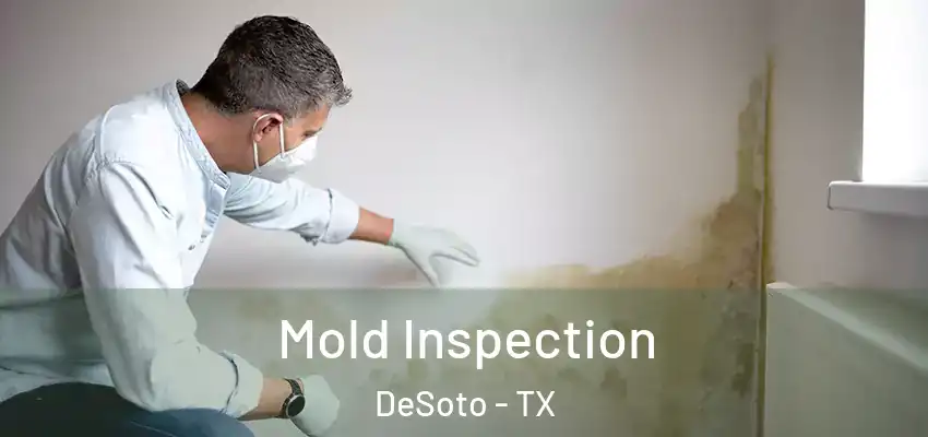  Mold Inspection DeSoto - TX