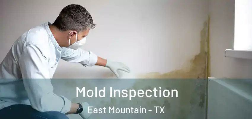  Mold Inspection East Mountain - TX