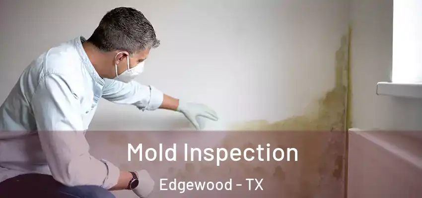 Mold Inspection Edgewood - TX