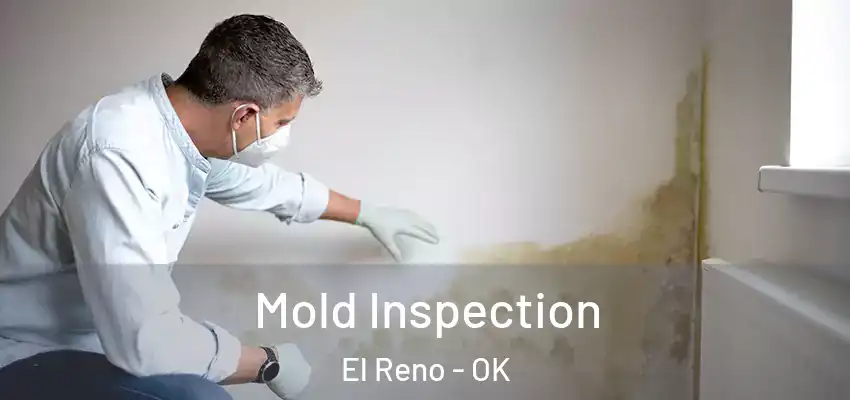 Mold Inspection El Reno - OK