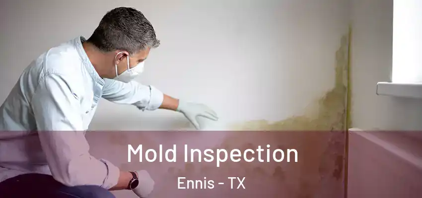 Mold Inspection Ennis - TX