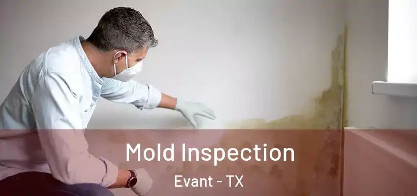 Mold Inspection Evant - TX