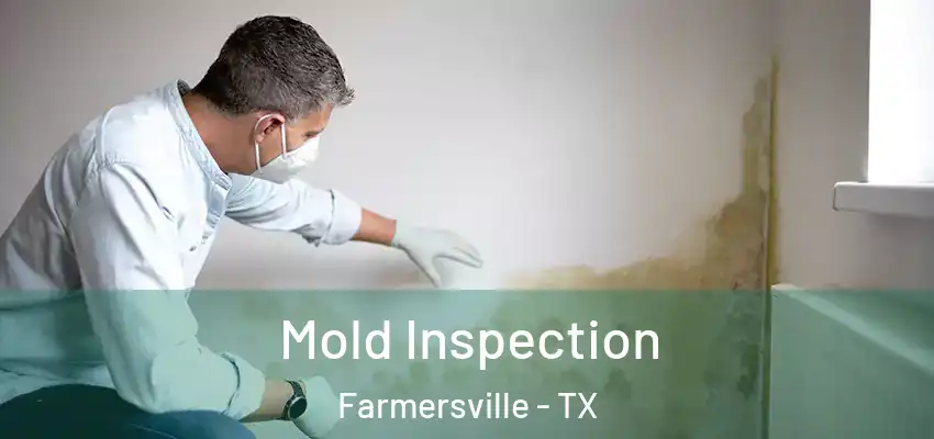  Mold Inspection Farmersville - TX