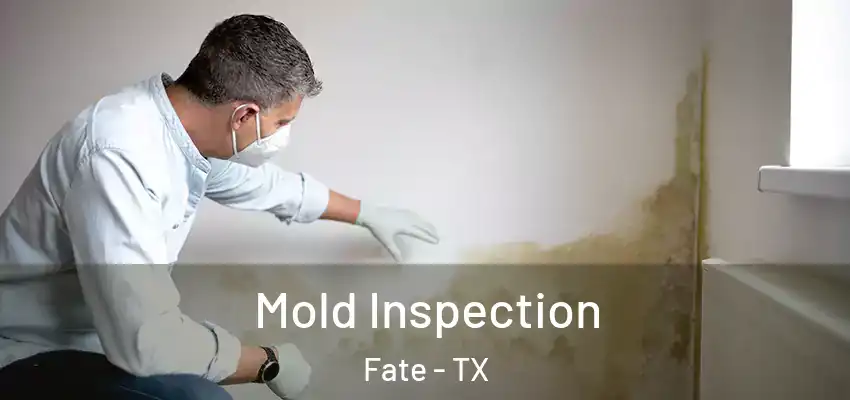 Mold Inspection Fate - TX