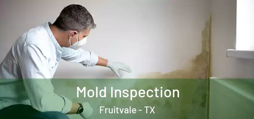 Mold Inspection Fruitvale - TX