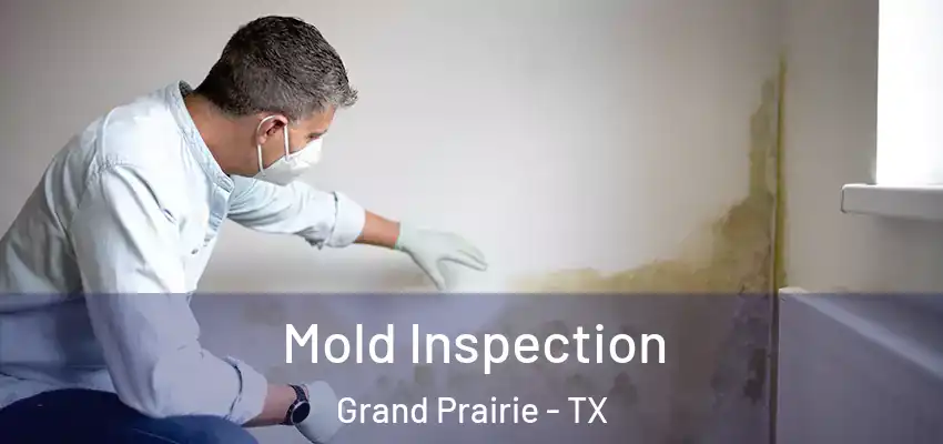  Mold Inspection Grand Prairie - TX