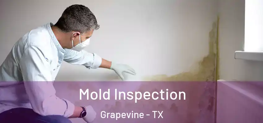  Mold Inspection Grapevine - TX