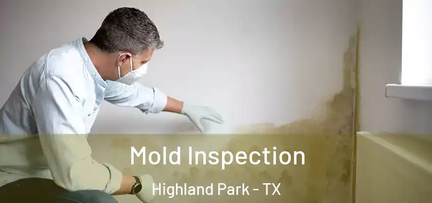Mold Inspection Highland Park - TX