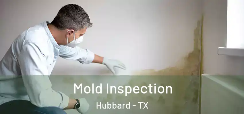 Mold Inspection Hubbard - TX