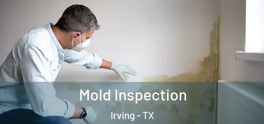  Mold Inspection Irving - TX