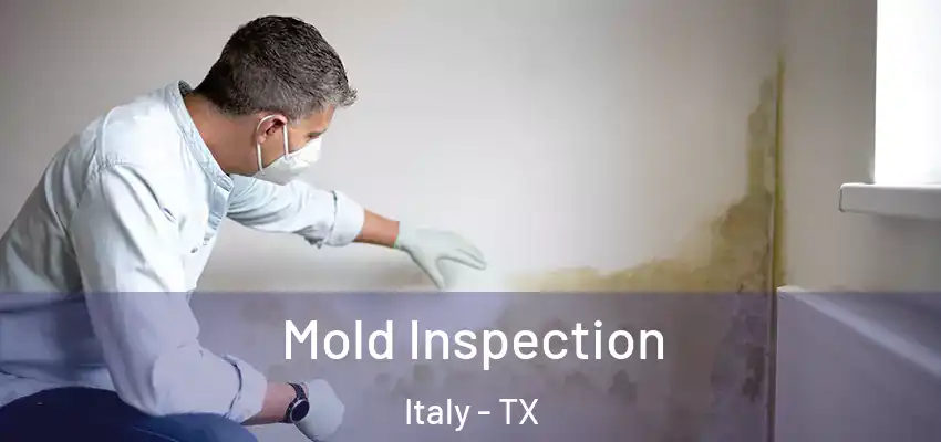 Mold Inspection Italy - TX