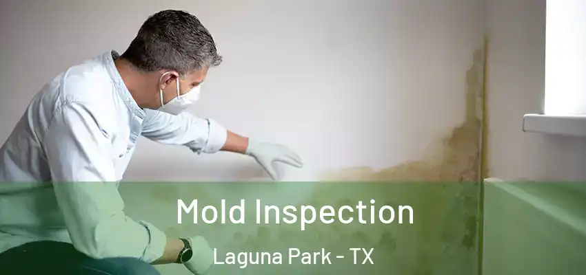 Mold Inspection Laguna Park - TX