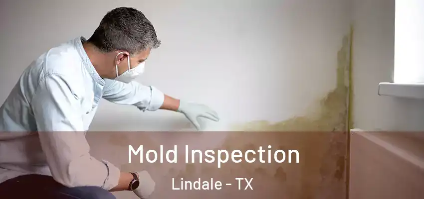  Mold Inspection Lindale - TX