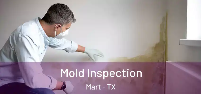 Mold Inspection Mart - TX