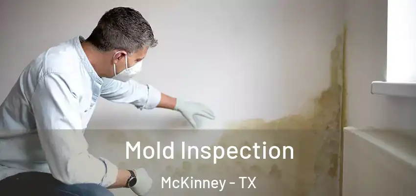 Mold Inspection McKinney - TX