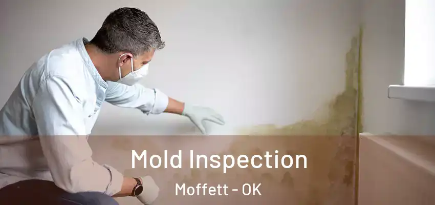  Mold Inspection Moffett - OK
