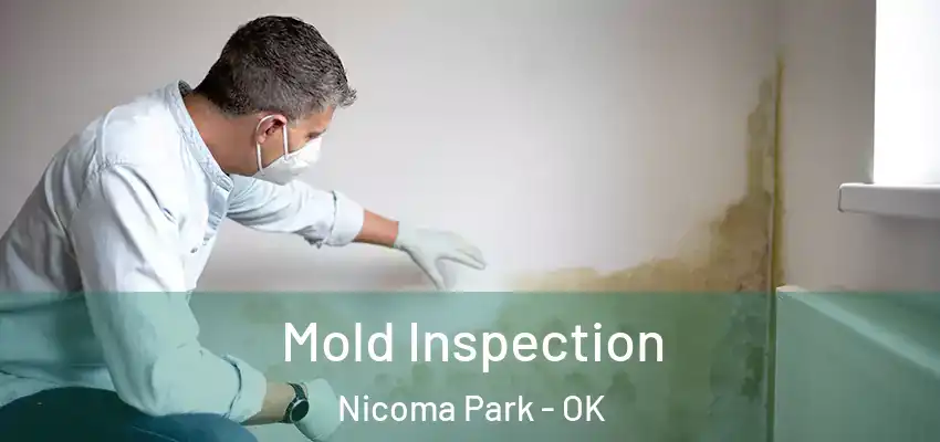  Mold Inspection Nicoma Park - OK