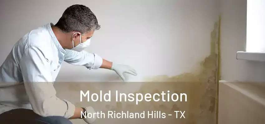  Mold Inspection North Richland Hills - TX
