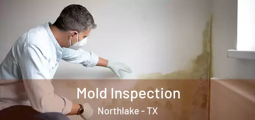 Mold Inspection Northlake - TX