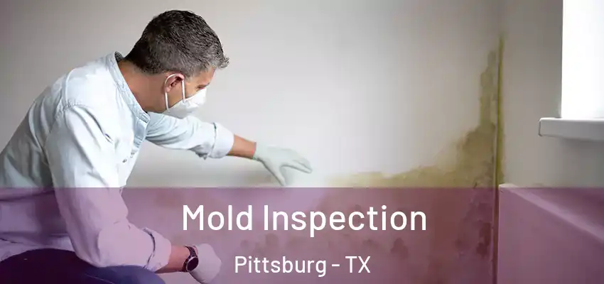 Mold Inspection Pittsburg - TX
