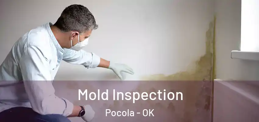 Mold Inspection Pocola - OK