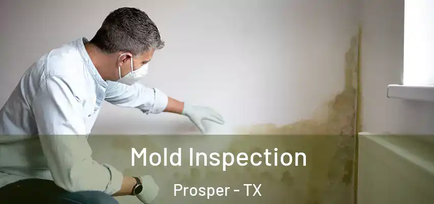 Mold Inspection Prosper - TX