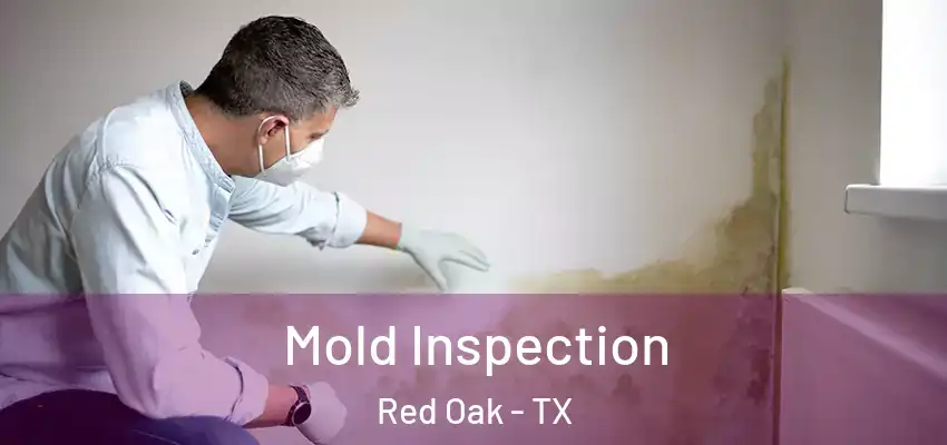 Mold Inspection Red Oak - TX
