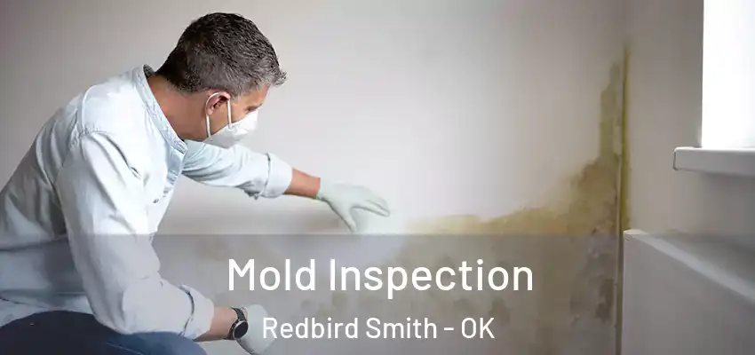  Mold Inspection Redbird Smith - OK