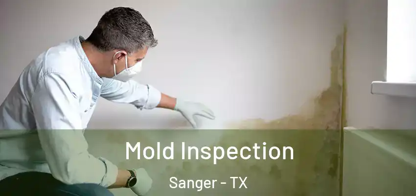 Mold Inspection Sanger - TX