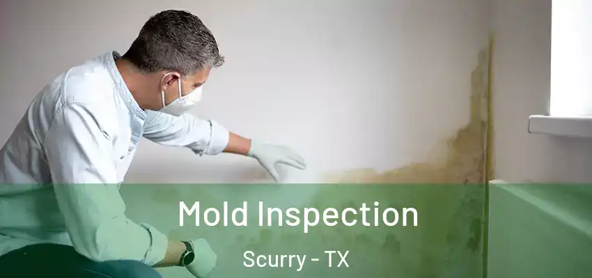 Mold Inspection Scurry - TX