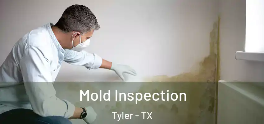  Mold Inspection Tyler - TX