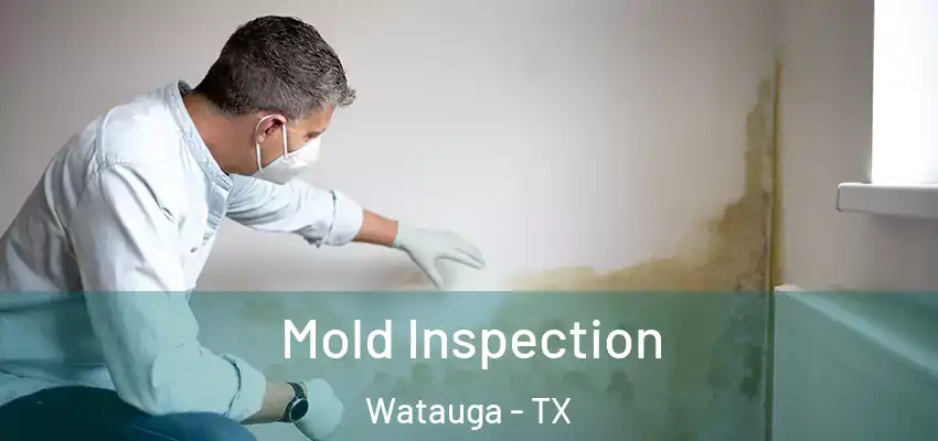 Mold Inspection Watauga - TX