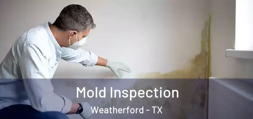 Mold Inspection Weatherford - TX