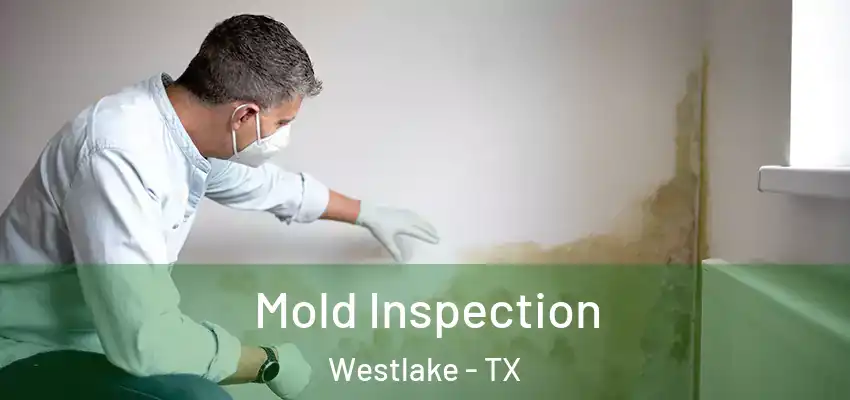  Mold Inspection Westlake - TX