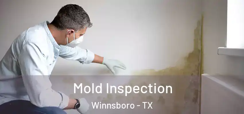 Mold Inspection Winnsboro - TX