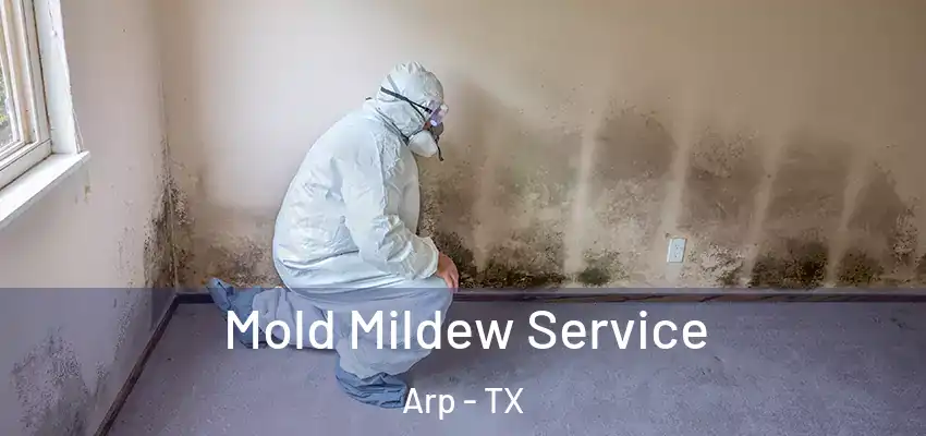 Mold Mildew Service Arp - TX