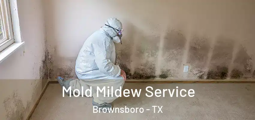 Mold Mildew Service Brownsboro - TX