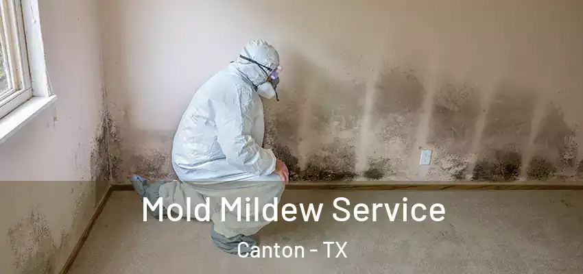  Mold Mildew Service Canton - TX