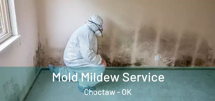 Mold Mildew Service Choctaw - OK