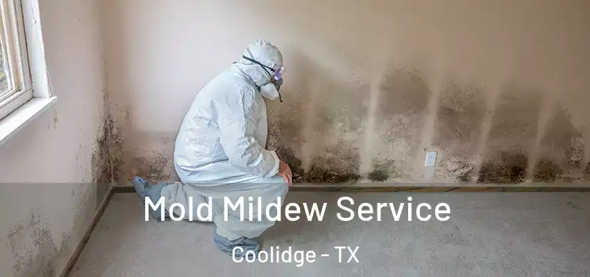  Mold Mildew Service Coolidge - TX