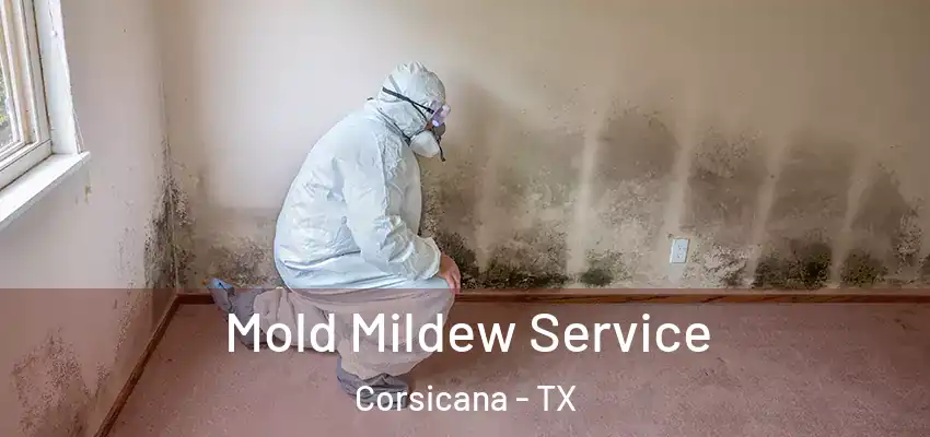  Mold Mildew Service Corsicana - TX