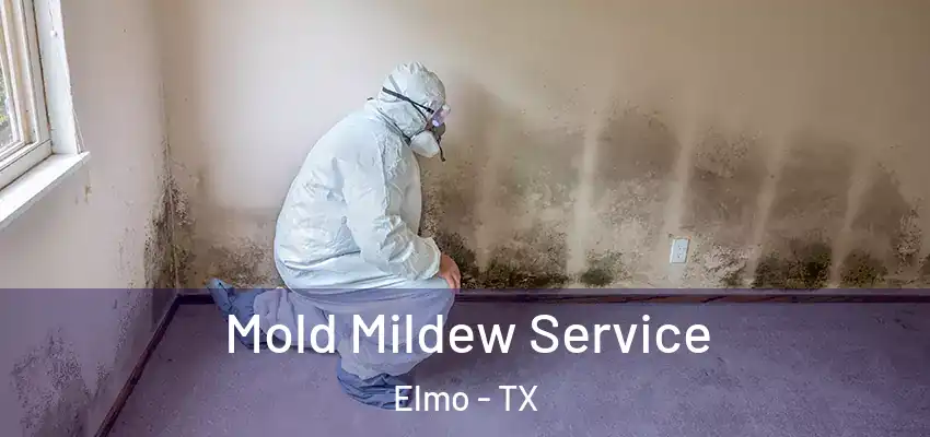  Mold Mildew Service Elmo - TX
