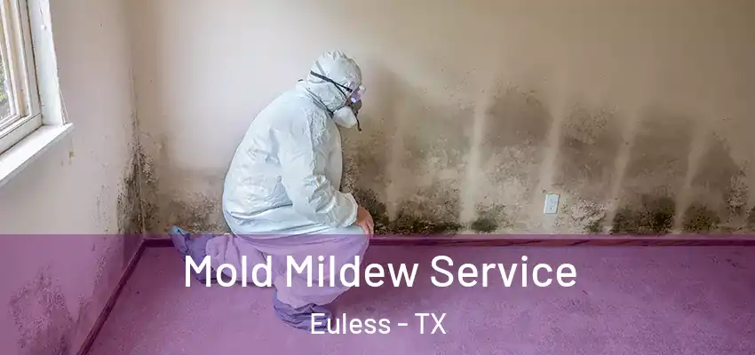 Mold Mildew Service Euless - TX