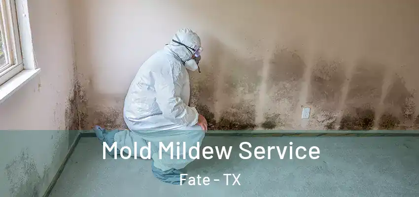  Mold Mildew Service Fate - TX
