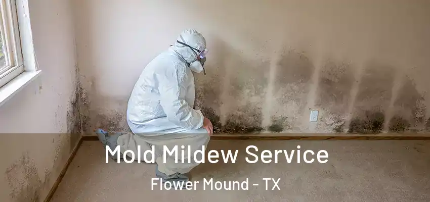 Mold Mildew Service Flower Mound - TX